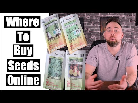 Where To Buy Vegetable Seeds Online - Top 3 Websites in 2021