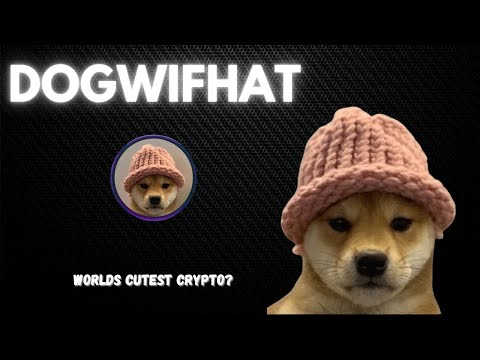 The Worlds Cutest Crypto: The Story Of DogWifHat