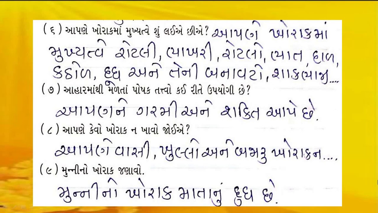 Gujarati Medium STD 3 ENVIRONMENT YouTube