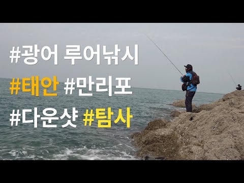 [워러]의 루어낚시 -태안 만리포 광어 탐사 다운샷 기본운영법