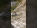 Jeep gladiator vs Traxxas