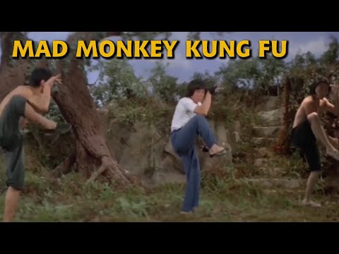 I WAS IN MAD MONKEY KUNG FU (1979)!!!