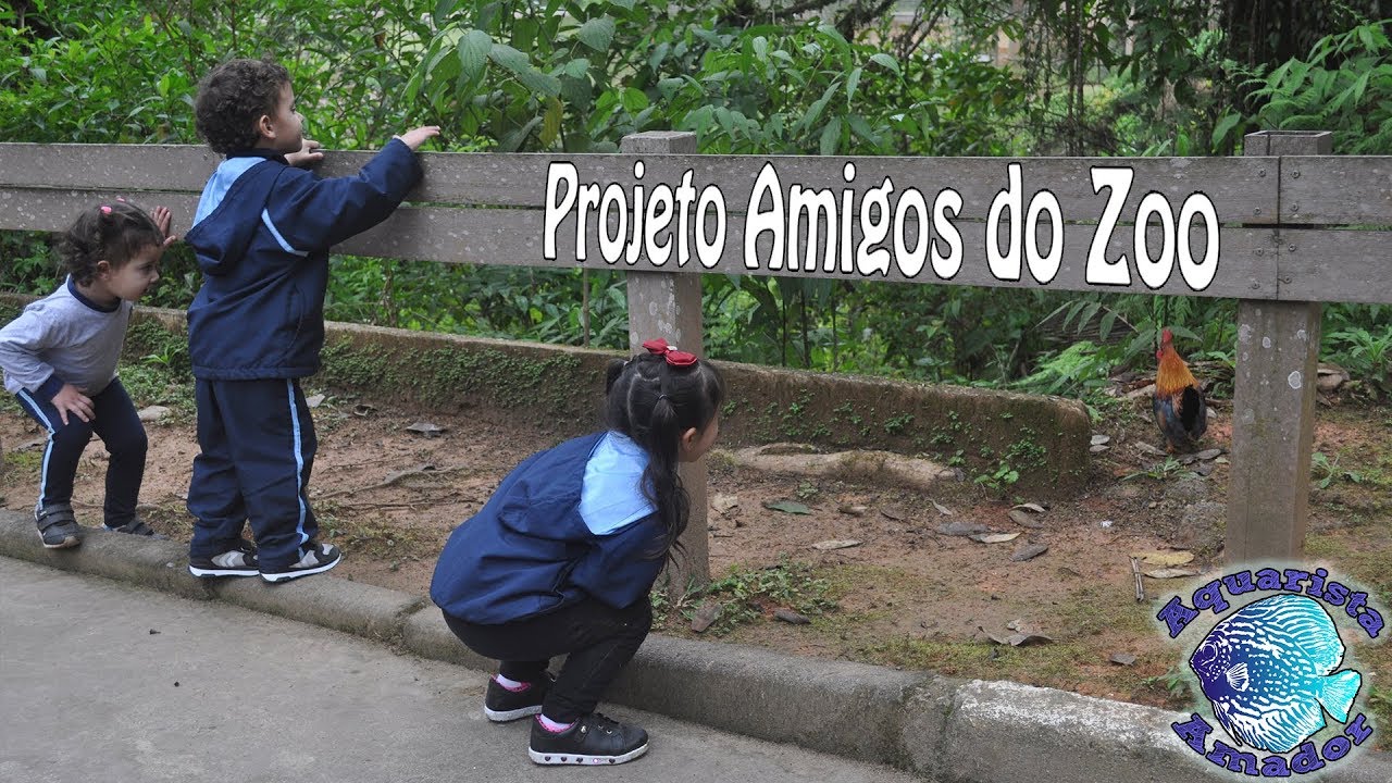 PRECISO DE AJUDA! Projeto amigos do Zoo