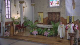 4th Sunday of Easter