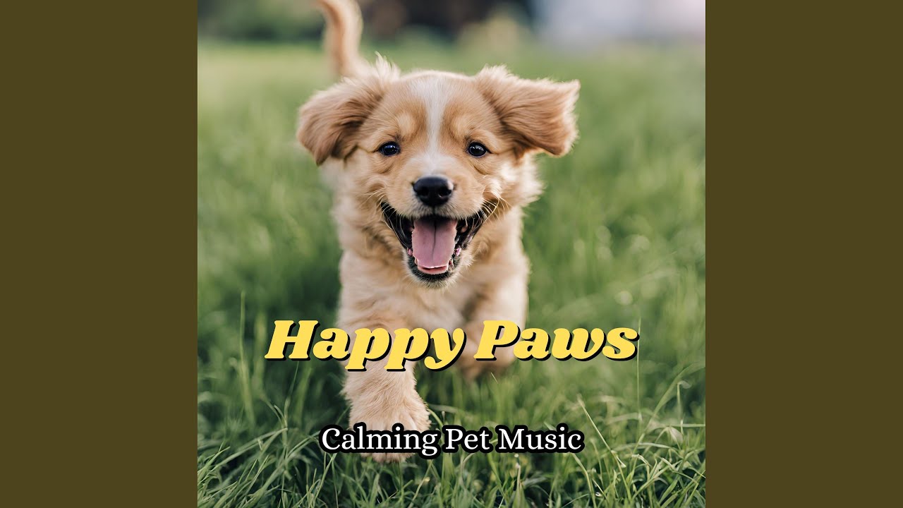 Calm Pet Piano Song