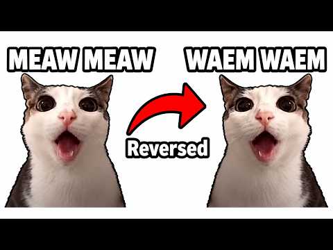 Famous Cat Memes Normal vs Reversed (part 7)
