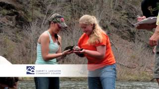 DSLCC Forestry 15 Guide