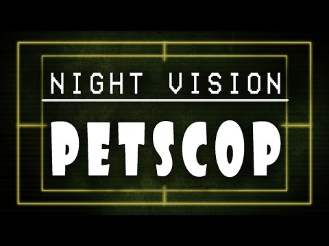 Wideo: Petscop, Ulubiona Nawiedzona Gra Wideo W Internecie