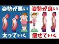 簡単に腹筋や全身に効かせたい人はクモプランク！