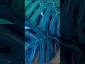 How to Design Backlit Graphics #tradeshowbooth #backlitdisplay #joydisplays #tradeshows #exhibition