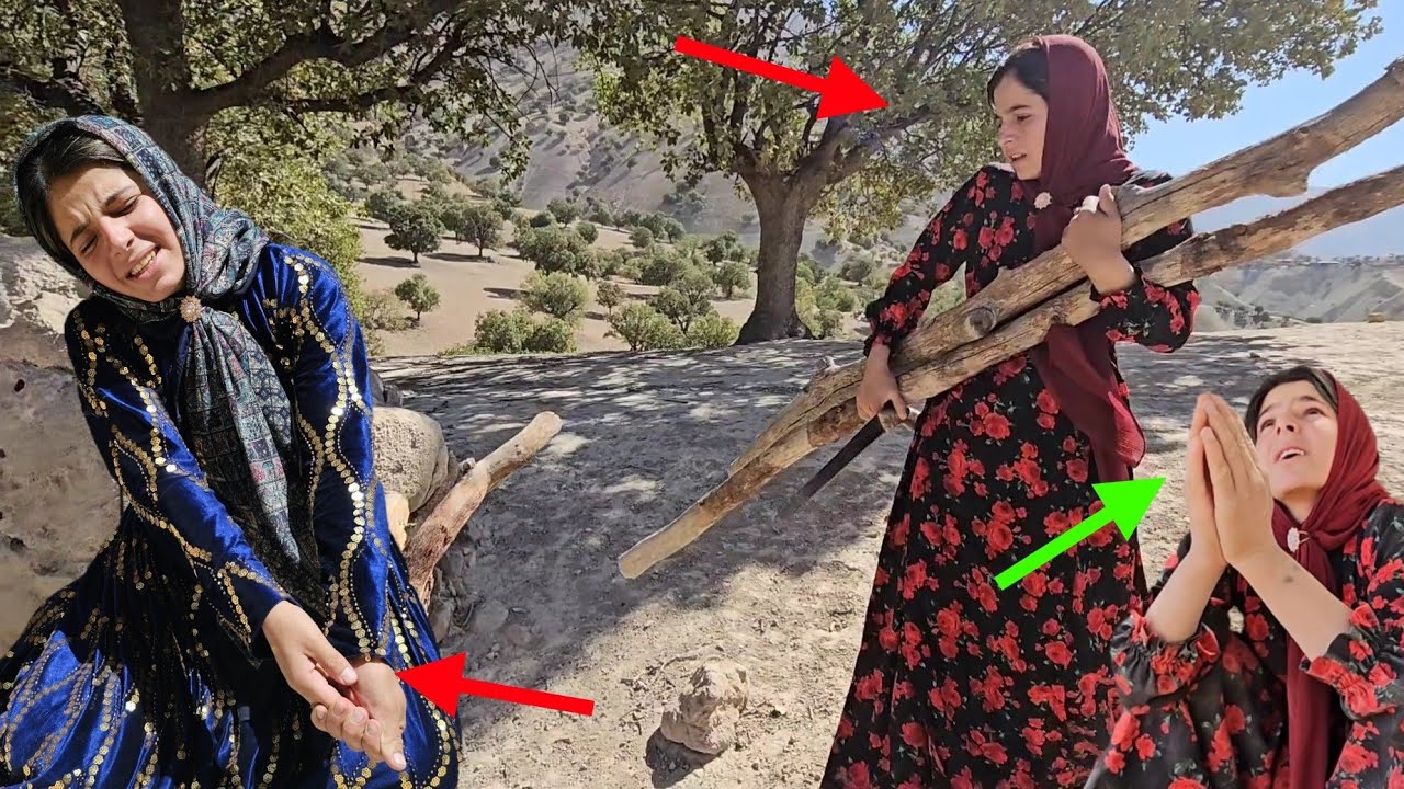 С надеждой и усилиями беременная кобра построила убежище в горе.