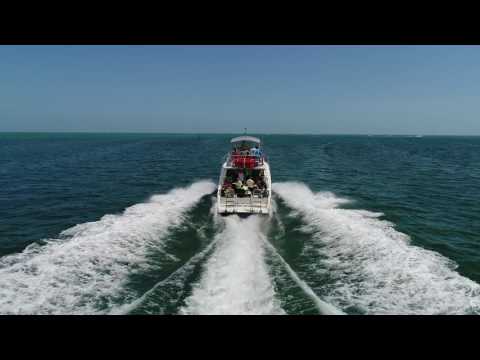 Sundiver Snorkel Tours in Key Largo, Florida