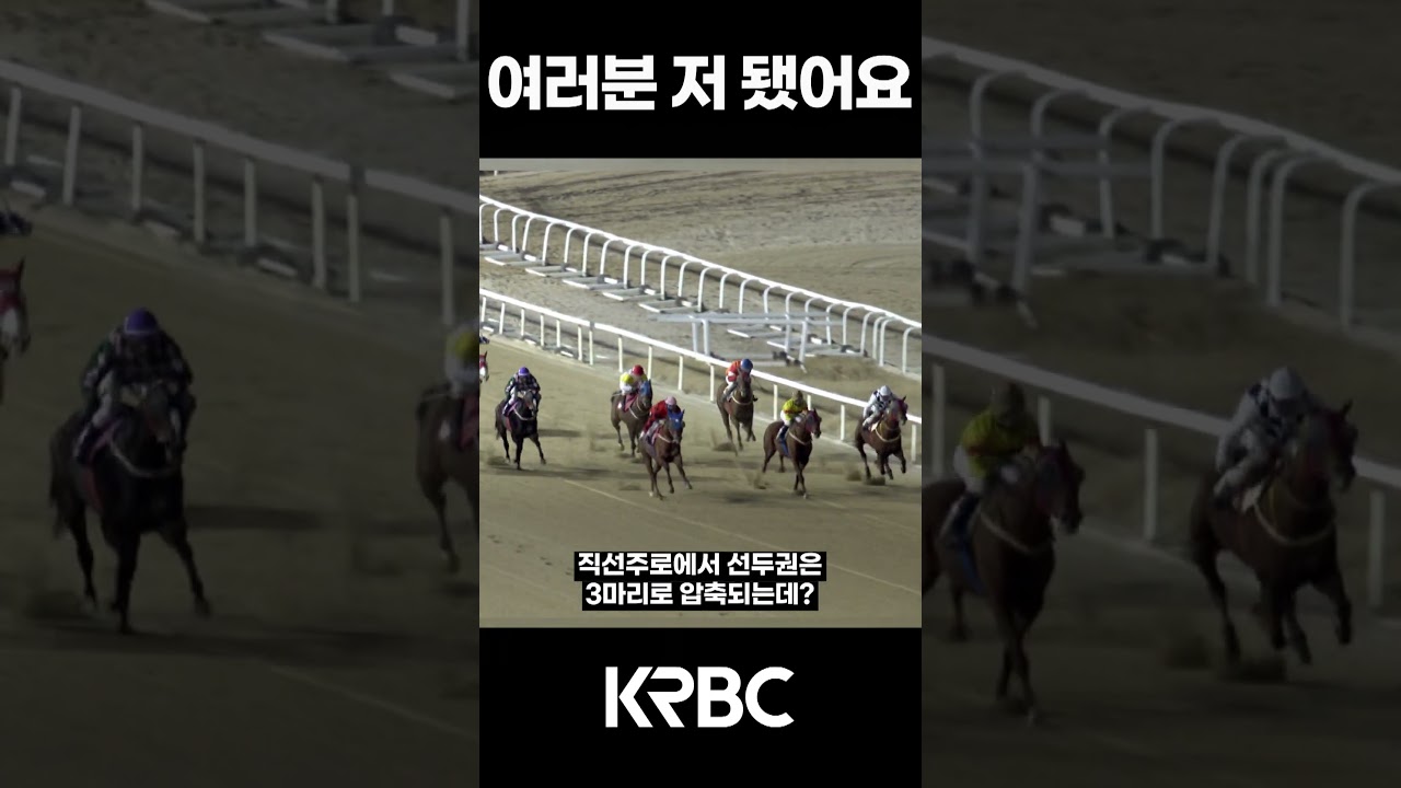 53배 됐어요 #shorts #경마방송 #기수 #경주마 #경마 #KoreaHorseRacing #koreahorseracing
