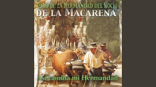 Video thumbnail of "Coro de la Hermandad del Rocio de la Macarena - Candela 1: Que Me Gusta el Camino / Una Tarde de Locura / Para la Virgen Llevo / Hacer Contigo..."