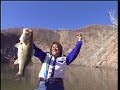 もっとBASSは釣れる FINAL!! 村田基