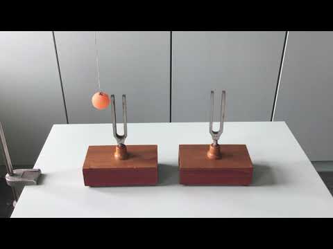 Schwingungsversuch: Tischtennisball, Stimmgabel