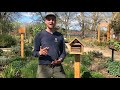 Raising mason bees