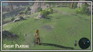 Zelda Breath of the Wild Review Stream, Part 13