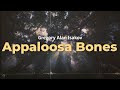 Gregory Alan Isakov - Appaloosa Bones Lyrics 🎶