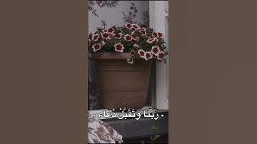 رب إجعلني مقيم الصلاة ومن ذريتي #قرآن #تلاوة  #الحصري #المنشاوي #عبدالرحمن_مسعد #عبدالباسط_عبدالصمد