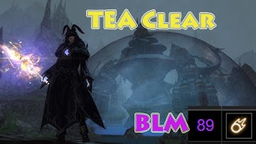 TEA clear Normal strats, BLM PoV (12,363.2 rDPS)
