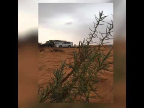 شيلة شوشو يالابه