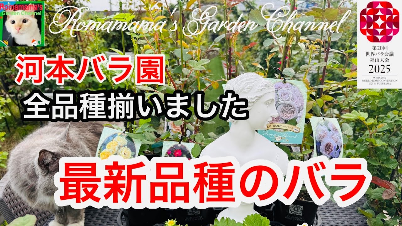 Latest rose varieties] Introducing the latest rose varieties from