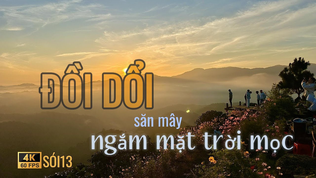 [Đồi Dổi - LÂM ĐỒNG] Camping Đồi Dổi - Bảo Lộc đầu năm 2026, ngắm mây, ngắm mặt trời mọc