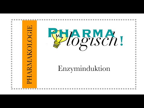Video: Warum ist die Enzyminduktion wichtig?