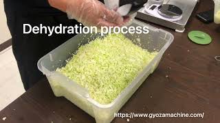 Easy Gyoza making by machine