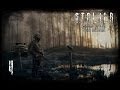 S.T.A.L.K.E.R. Упавшая Звезда. Честь Наемника #4 - Ну Здравствуй, Родная