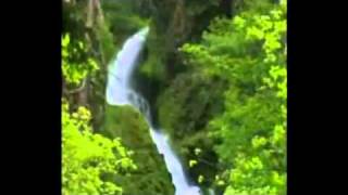 سورة المعارج كاملة - الشيخ ناصر القطامي