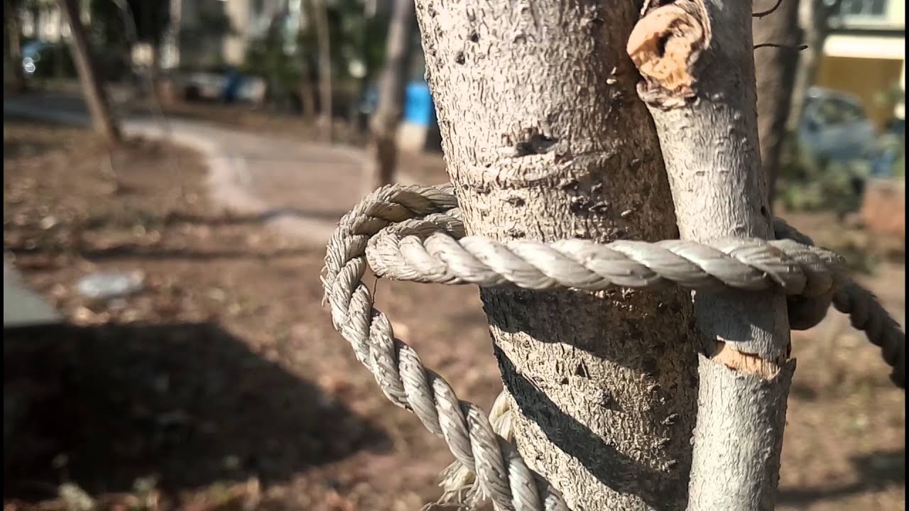 LeEco (LeTV) Le 1s 1080p camera sample @30fps