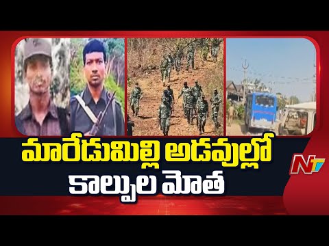 Maredumilli: మారేడుమిల్లి అడవుల్లో కాల్పుల మోత.. | NTV Telugu - NTVTELUGU