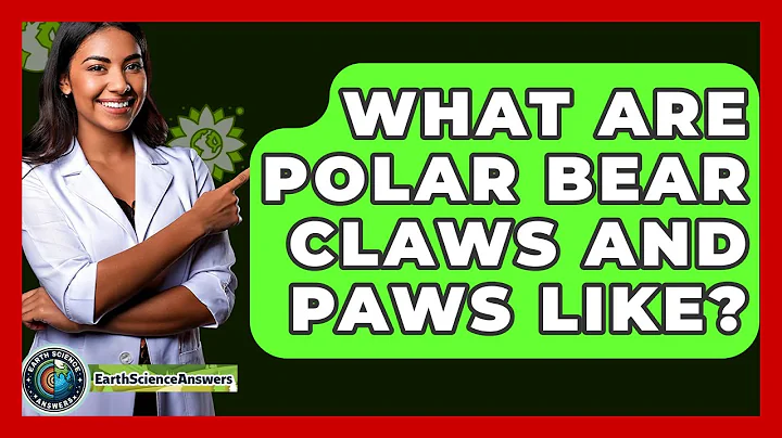 What Are Polar Bear Claws And Paws Like? - Earth Science Answers