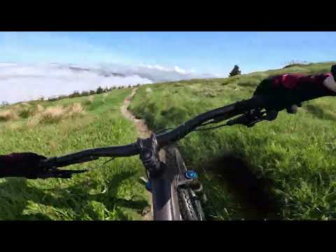 I Cycled the FULL Rostrevor MTB Red Loop so YOU dont have to
