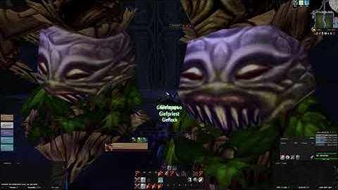 [WoW cMaNGOS 2.4.3 Multibox] DM East Jump Run