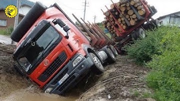 Extreme houtvrachtwagens in actie! Massale zware machines aan het werk in het bos, niveau 1