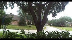 Harvey Live 77070 