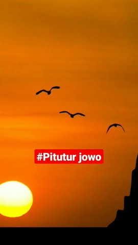 ojo turu sore #shorts #shortvideo #pituturjawa #fyp #fypシ #story #viral