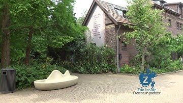 Artis - Metzelaarkas
