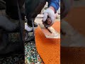 Home yard floor renovation #renovation #construction