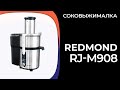 Соковыжималка REDMOND RJ-M908