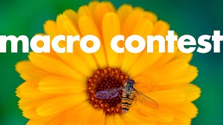 Micael’s Macro Photography Contest #1 – YOU ARE INVITED!