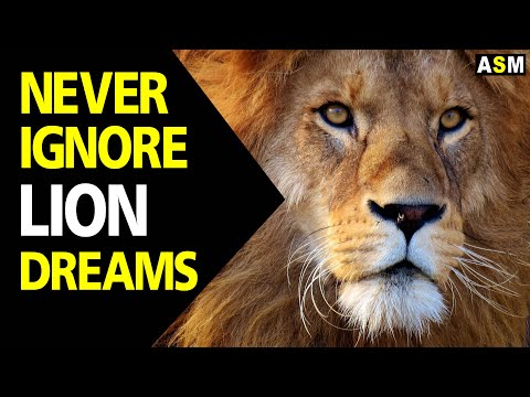 Video: Why Is The Lion Dreaming