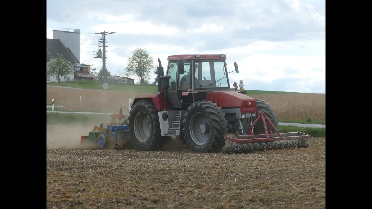 Maisland herichten mitn Schlüter Eurotrac 1300 🌽🐻 #farming #schlüter #eurotrac