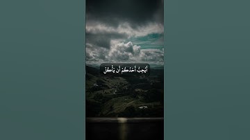 سورة الحجرات للشيخ انس العمادي😴😴😴