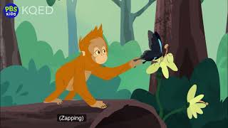 Wild Kratts- Archerfish School- Full Episode