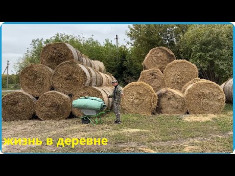 ЗАГОТОВИЛИ СЕНО НА 6 КОРОВ И 11 ТЕЛЯТ ЗА ДВА ДНЯ, ЖИЗНЬ В ДЕРЕВНЕ