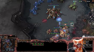 ZvP vs Incontrol - Proxy Hatch Spine Rush